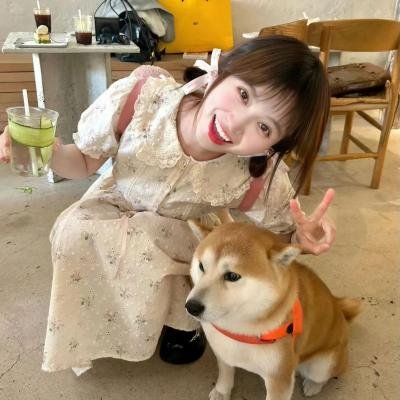倒数第二次恋爱